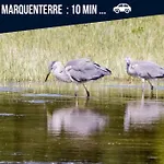 Ecrin De Verdure En Famille-pmr-8 Min Le Crotoy