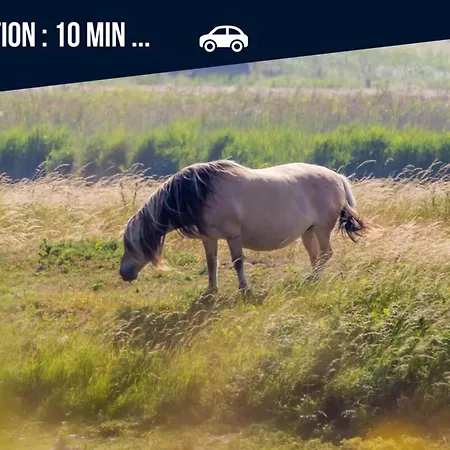 Ecrin De Verdure En Famille-pmr-8 Min Le Crotoy Holiday home Favieres (Somme)