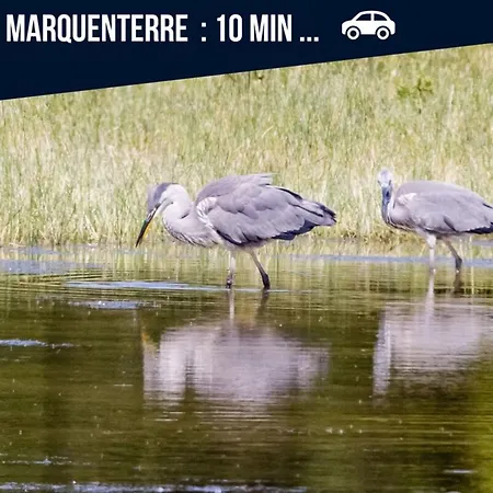 Ecrin De Verdure En Famille-pmr-8 Min Le Crotoy